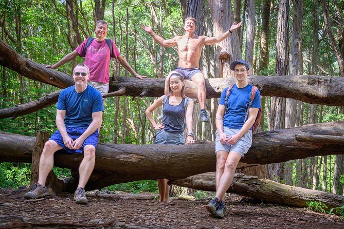 Oahu Waterfall Hike-Garden-Beach Road Trip, Waikiki to Lanikai - Who Will Love This Tour?