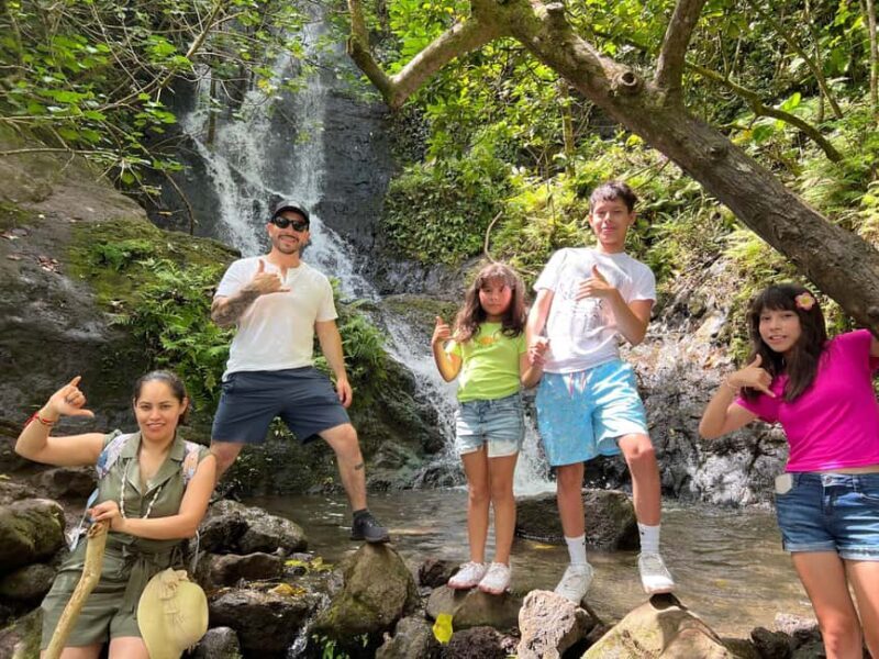 Oahu: Waterfall Hike via Scenic South Shore Drive - Key Points