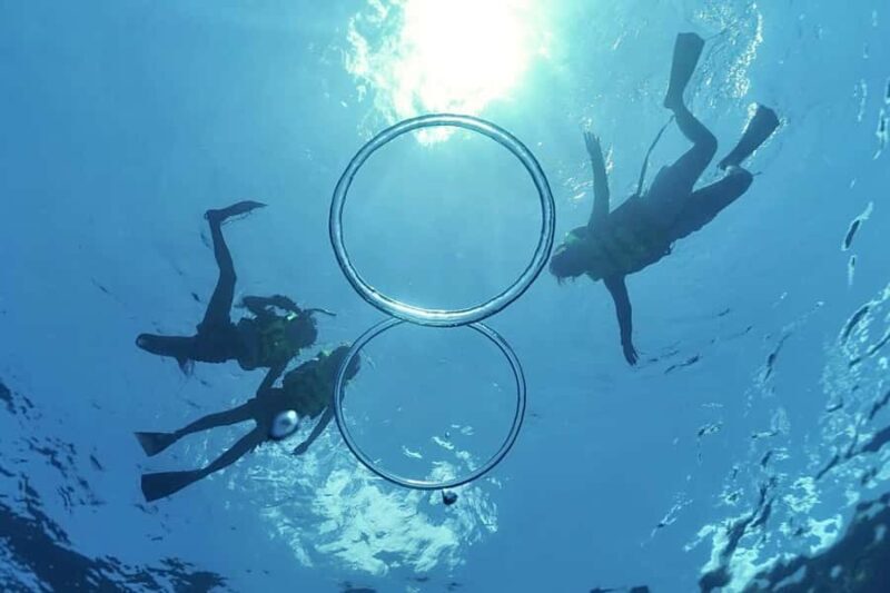 O'ahu West Coast Whale Watching and Turtle Snorkeling - Oahu West Coast Whale Watching and Turtle Snorkeling: A Complete Review