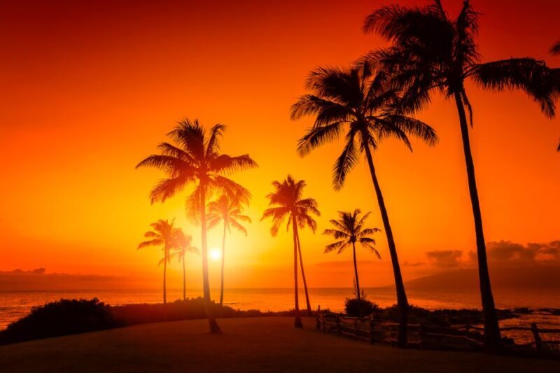 Oahu: West Oahu Sunset Cruise with Cocktails and Appetizers - Key Points