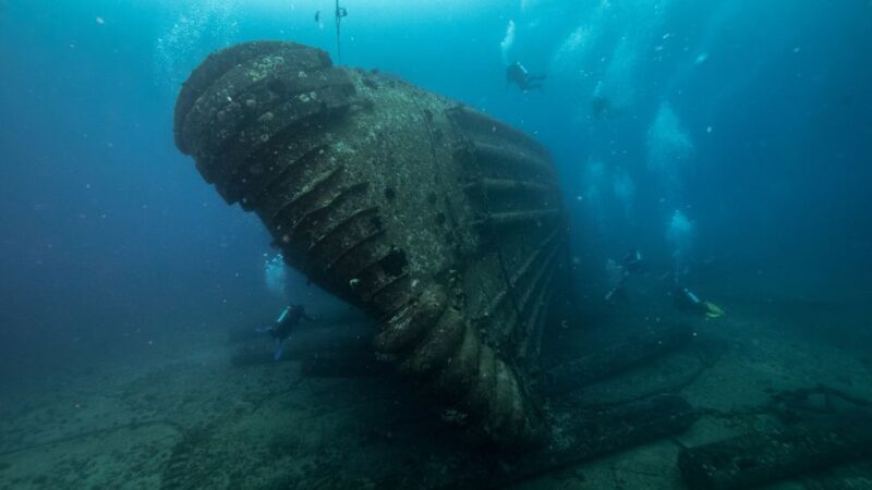 Oahu: Wreck & Reef Scuba Dive for Certified Divers - In-Depth Review of the Wreck & Reef Tour on Oahu