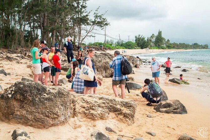 Oahu's Cheapest Circle Island Tour - Key Points