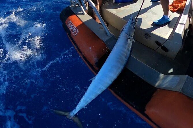 Oahu's Unique Whale Watching and Fishing Charter - A Detailed Look at Oahus Whale Watching and Fishing Charter