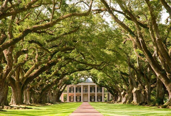 Oak Alley Plantation & Airboat Tours - Key Points