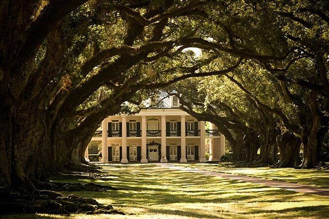 Oak Alley Plantation and Small Airboat Tour from New Orleans - Exploring Louisiana’s Riches: A Deep Dive into the Tour
