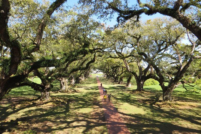 Oak Alley Plantation Half-Day Tour from New Orleans - Why This Tour Offers Good Value