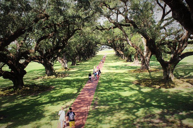 Oak Alley Plantation Tour with Transportation - Authentic Perspectives from Travelers