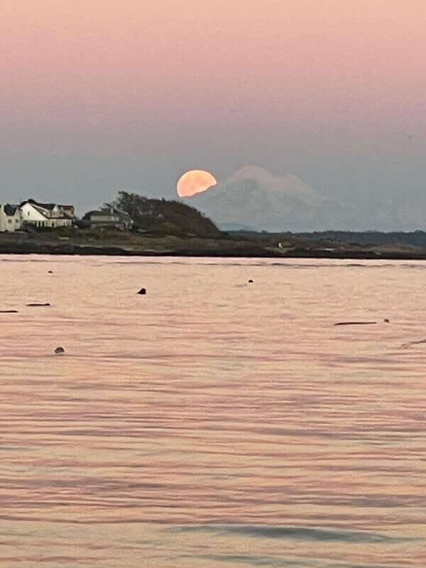 Oak Bay: Full Moon Paddle Experience - FAQ