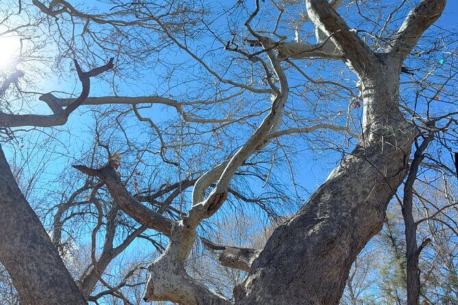 Oak Creek Canyon, with Native American history and Chapel too! - Key Points