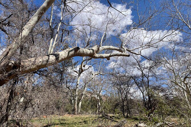 Oak Creek Canyon, with Native American history and Chapel too! - The Value of This Sedona Tour