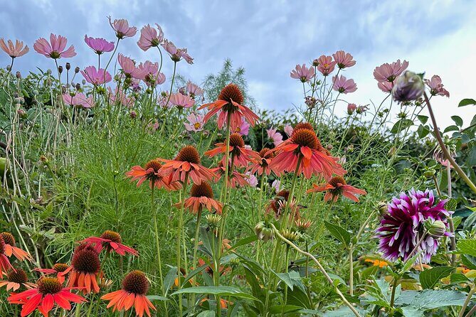 Oasis Cottage Gardens and Floristry Studio in Oxford, NZ - Why This Tour Offers Great Value