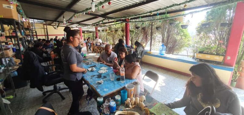Oaxaca: Alebrije Painting Workshop with Hotel Pick-Up - The Heart of the Experience: San Martín Tilcajete
