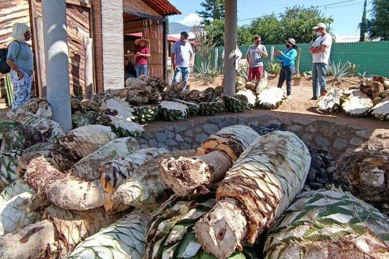 Oaxaca: Ancestral Mezcal Experience - An In-Depth Look at the Oaxaca: Ancestral Mezcal Experience