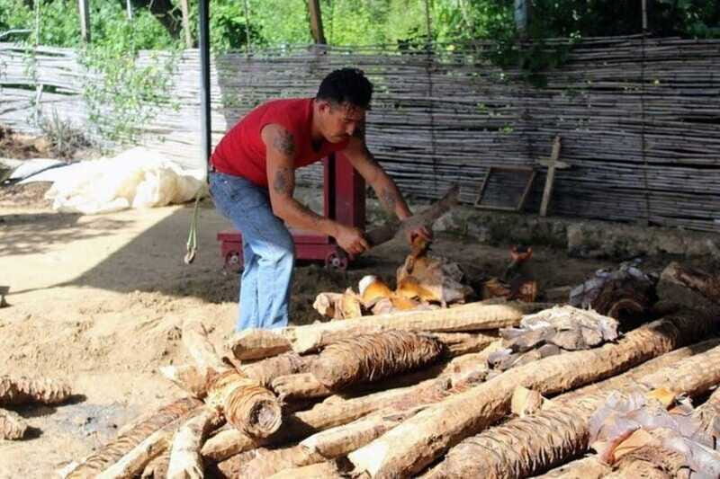 Oaxaca: Ancestral Mezcal Tasting in Ocotlan Valley - FAQ