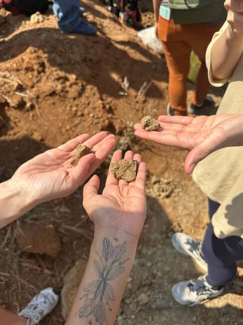 Oaxaca: Artisan Clay Pottery Workshop w/Breakfast and Brunch - Final Thoughts: Is This the Right Tour for You?