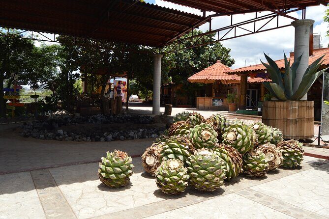 Oaxaca : Boil the water, Mitla and Cocoa (Entries included). - FAQ