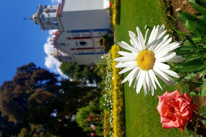 Oaxaca Conmigo Private Tours - FAQ