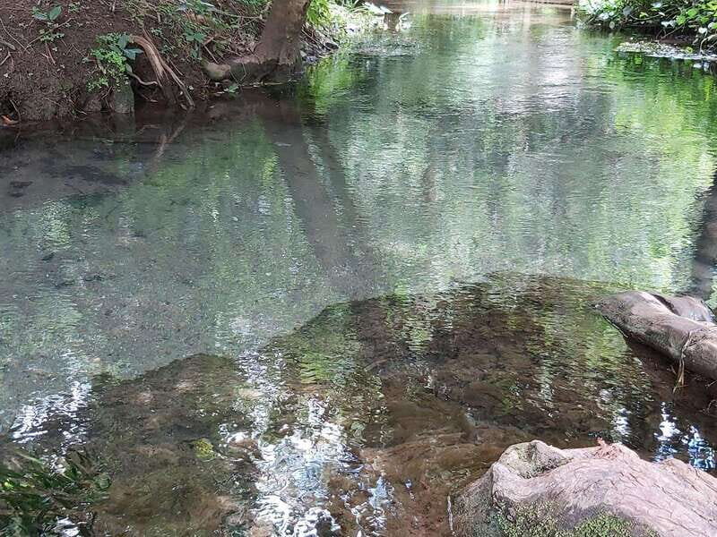 Oaxaca: Ejutla Canyon 1 Day Bike Tour - Who Will Love This Tour