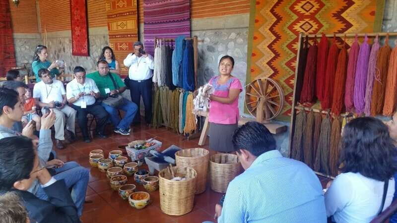 Oaxaca: El Tule, Mitla, and Hierve el Agua Tour with Mezcal - Transportation, Group Size, and Pacing