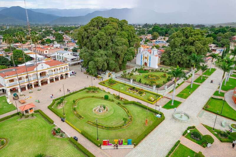 Oaxaca: El Tule tree, Teotitlan Village & Mezcal Tour - Key Points