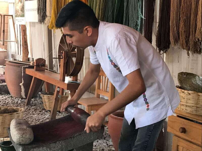 Oaxaca: El Tule tree, Teotitlan Village & Mezcal Tour - Who Should Consider This Tour?