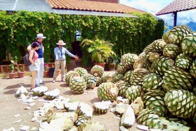 Oaxaca: Exclusive Private Yagul UNESCO Heritage Site Tour - Who Should Consider This Tour?