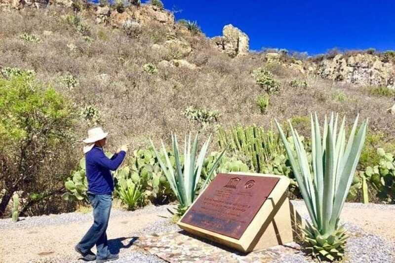 Oaxaca: Exclusive Private Yagul UNESCO Heritage Site Tour - In The Sum Up