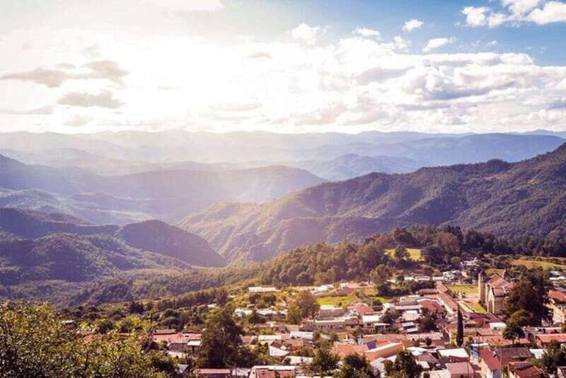 Oaxaca: Forest and Nature Walking Experience - What Makes This Tour Stand Out