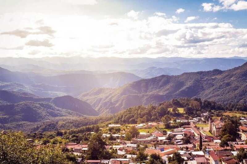 Oaxaca: Forest and Nature Walking Experience - Analyzing Value