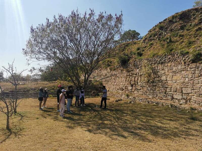 Oaxaca: Full Day Guided Tour on the Monte Alban Route - FAQs