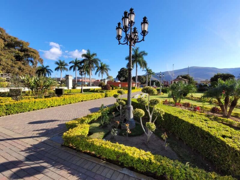 Oaxaca: Guided Bike Tour to the Largest Tree in the World - A Tasty Cultural Experience