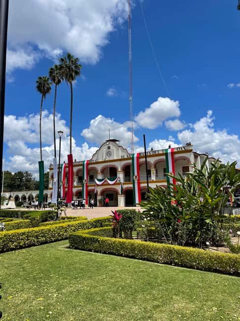 Oaxaca: Guided Bike Tour to the Largest Tree in the World - Why This Tour Is Worth It