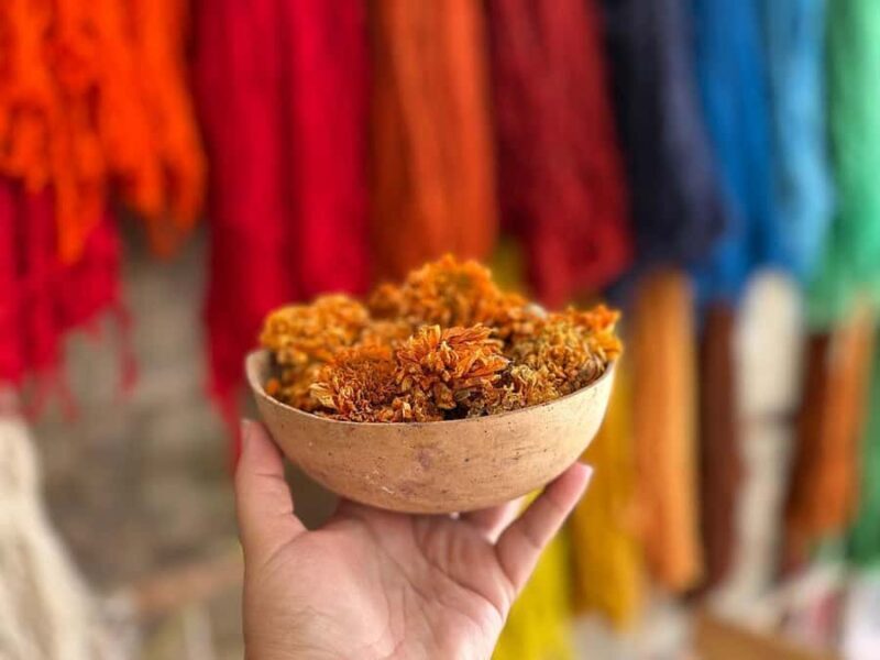 Oaxaca Hierve el Agua, Mitla, Árbol del Tule & Mezcal All-Inclusive - In-Depth Review: Exploring Oaxaca in a Day