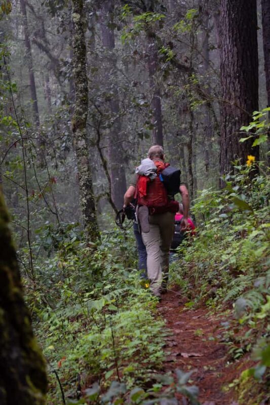Oaxaca: Hiking Tour In the Sierra Norte With Lunch - Key Points