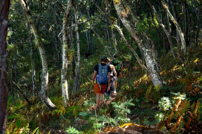 Oaxaca: Hiking Tour In the Sierra Norte With Lunch - Final Thoughts