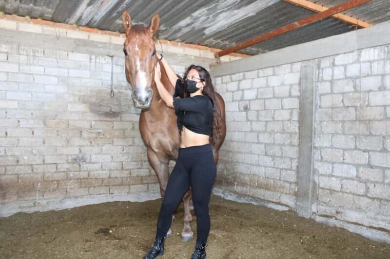 Oaxaca: Horseback Riding and Mezcal Tasting Tour - Key Points