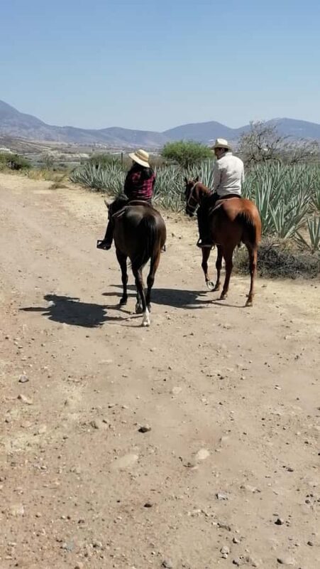 Oaxaca: Horseback Riding and Mezcal Tasting Tour - Final Thoughts