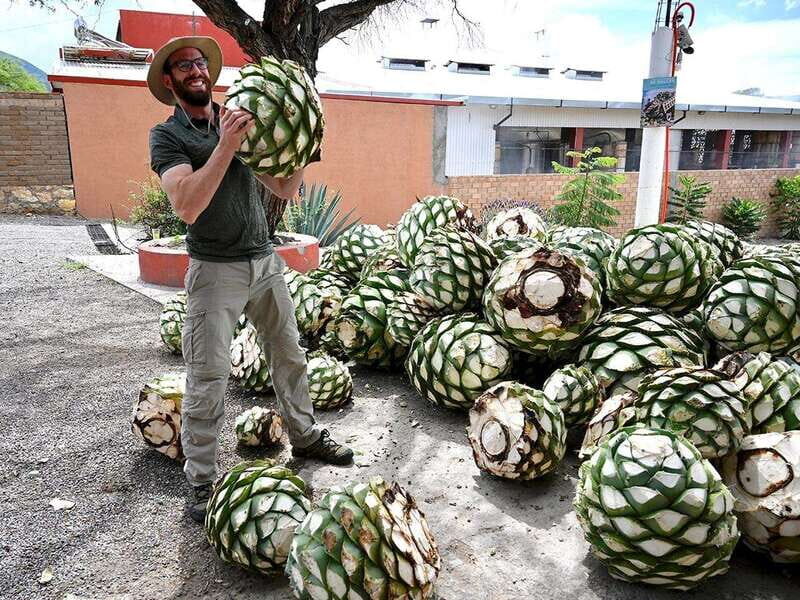 Oaxaca: Mezcal Distillery Tour with Tastings - A Journey Into the Heart of Mezcal