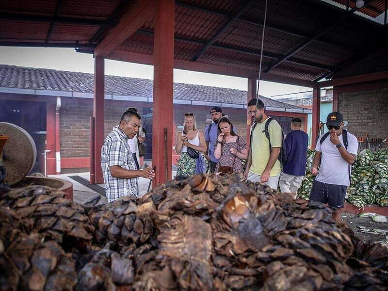 Oaxaca: Mezcal Distillery Tour with Tastings - Tasting Premium Mezcals and Learning Varieties
