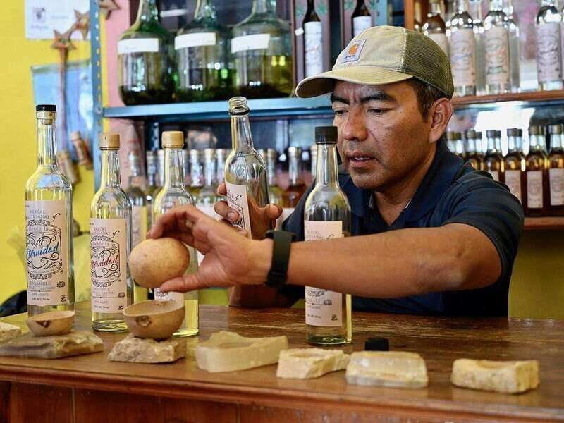 Oaxaca: Mezcal Distillery Tour with Tastings - A Delicious Local Lunch
