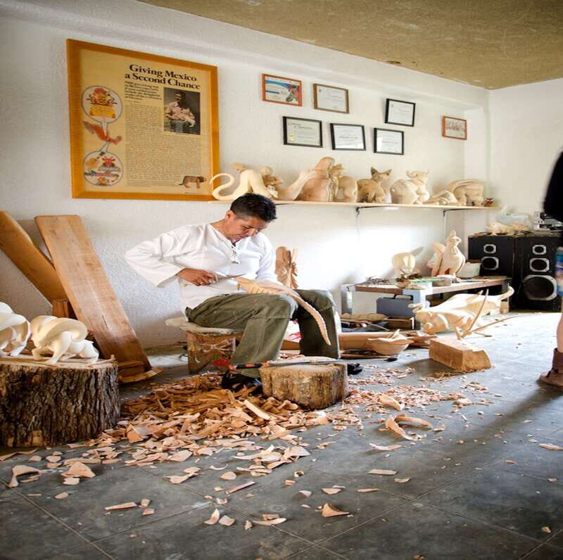 Oaxaca: Monte Alban and the Art of Oaxaca - Who Should Consider This Tour?