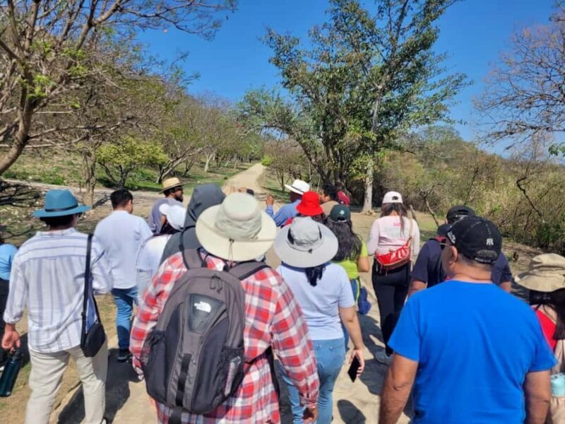 Oaxaca: Monte Albán Tour with Breakfast at Abastos Market - Free Time for Photos and Questions