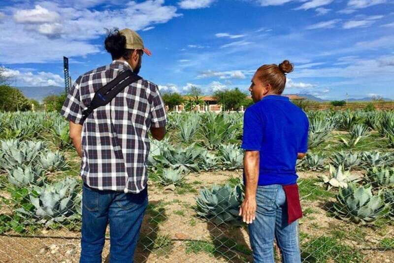 Oaxaca: Private Gastronomy and Culture Tour - What Makes This Tour Stand Out?