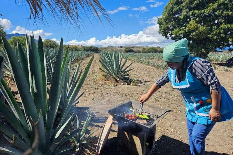 Oaxaca: Private Lunch in Maguey Fields with Mezcal Tasting - A Deeper Look at the Experience