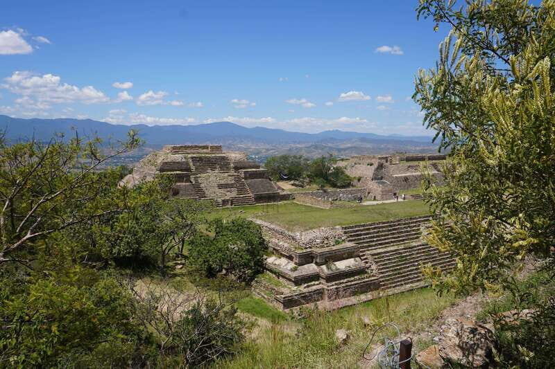 Oaxaca: Raíces Oaxaqueñas (Monte Alban) - Who is This Tour Best For?