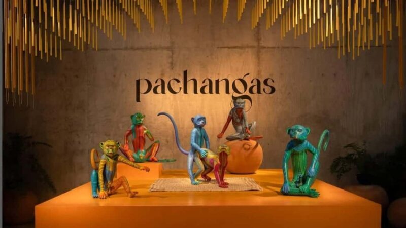 Oaxaca Renowned Art Galleries and Traditions in Private Tour - Who Would Love This Tour?