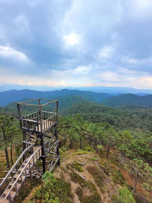 Oaxaca: Sierra Norte Ixtepeji Guided Hike & Lunch, Half-Day - Who should consider this tour?