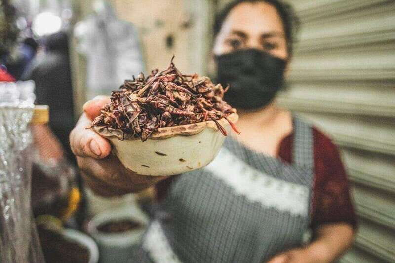 Oaxaca: Signature Markets Food Tour - Frequently Asked Questions