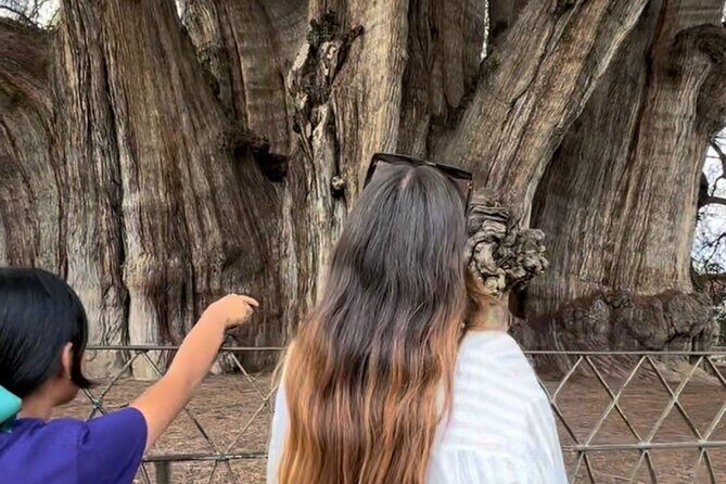 Oaxaca Vivo: Tapetes, Alebrijes Mezacal Monte Albán and more! - The Sum Up