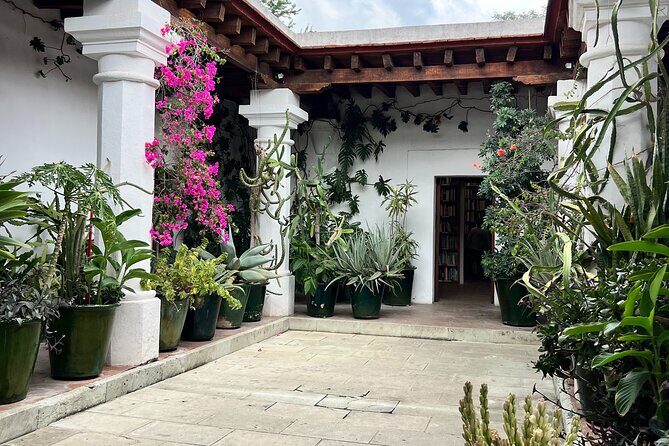 Oaxaca Walking Tour - An In-Depth Look at the Oaxaca Walking Tour